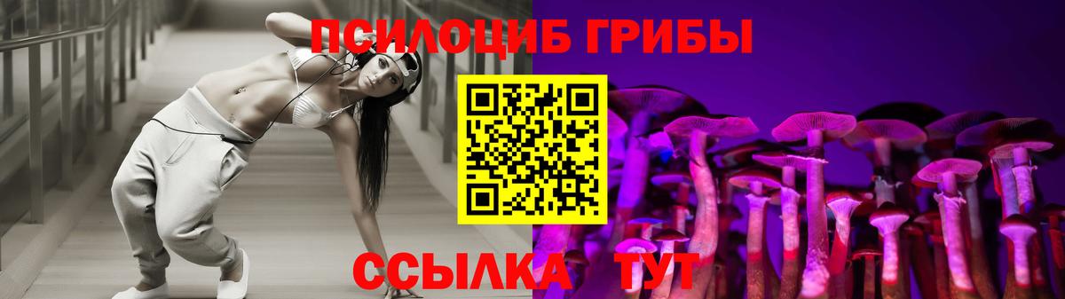 Псилоцибиновые грибы Psilocybine cubensis  Вход с VPN  Белая Калитва 